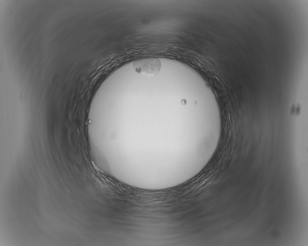 X0000111221441200907020949