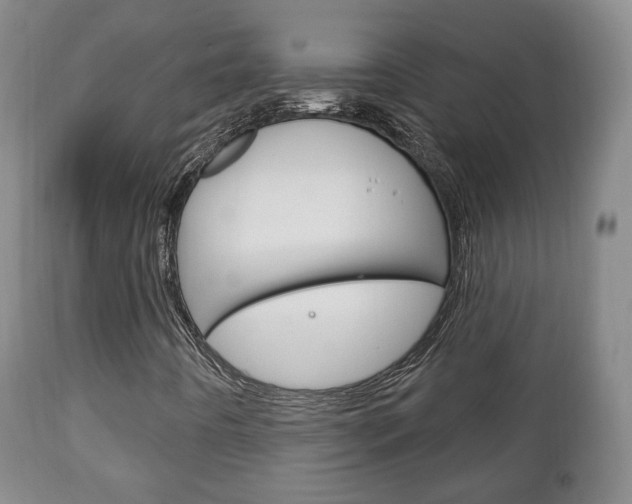 X0000111221442200907020949