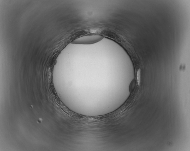 X0000111221443200907020949