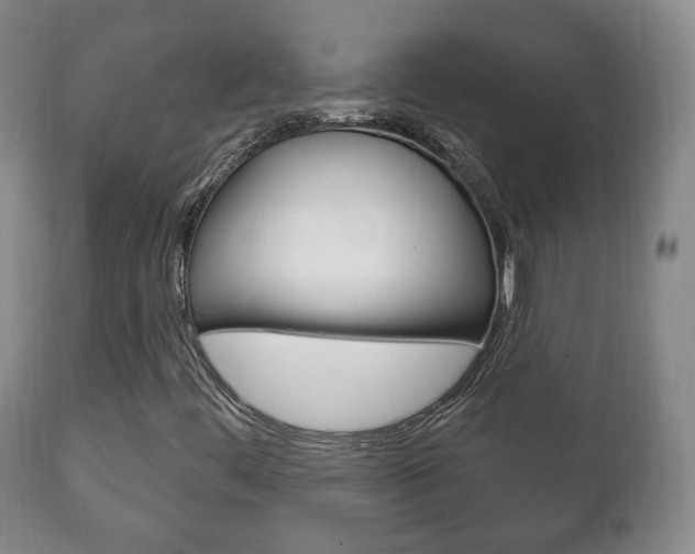 X0000111221444200907020949