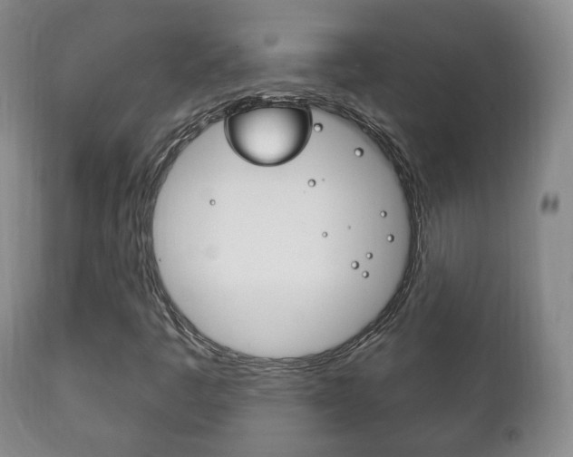 X0000111221445200907020949