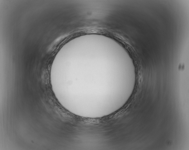 X0000111221446200907020949