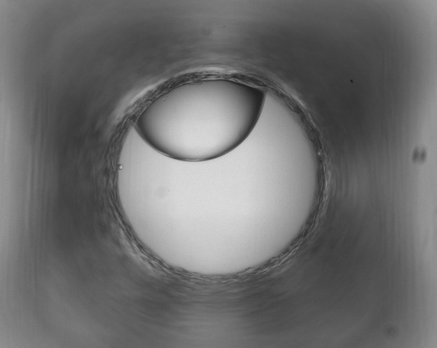 X0000111221448200907020949