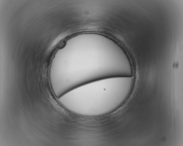 X0000111221450200907020948