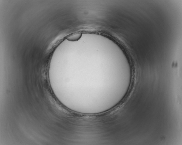 X0000111221451200907020948