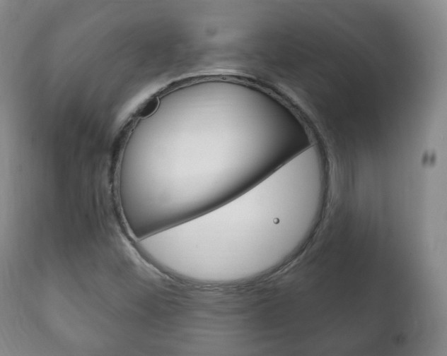 X0000111221452200907020948