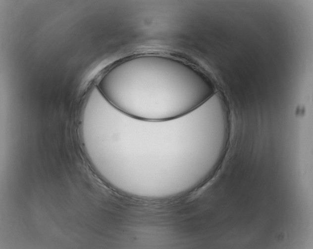 X0000111221453200907020948