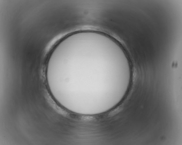 X0000111221454200907020948