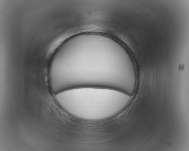 X0000111221455200907020948