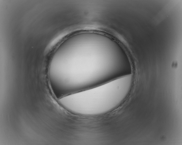 X0000111221456200907020948