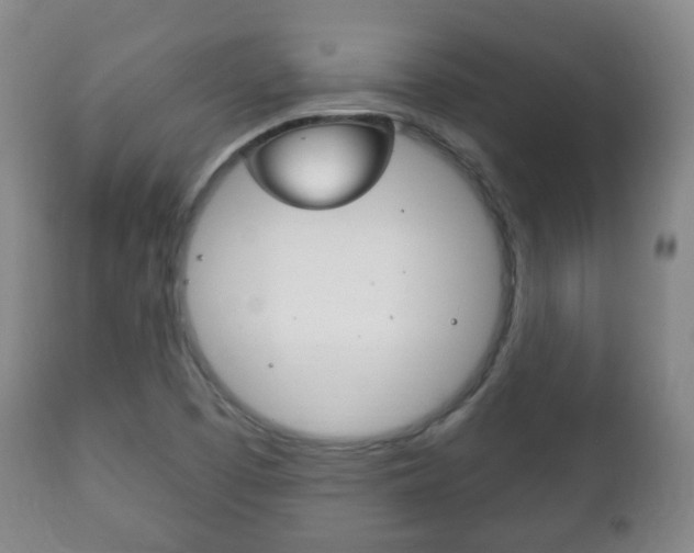 X0000111221457200907020948