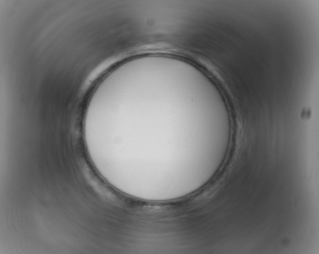 X0000111221458200907020948