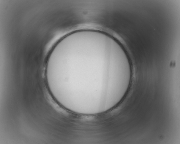X0000111221462200907020948