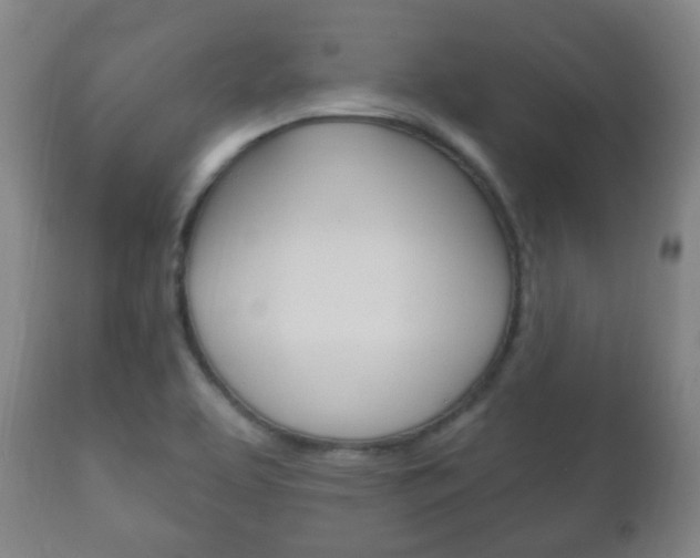X0000111221463200907020948