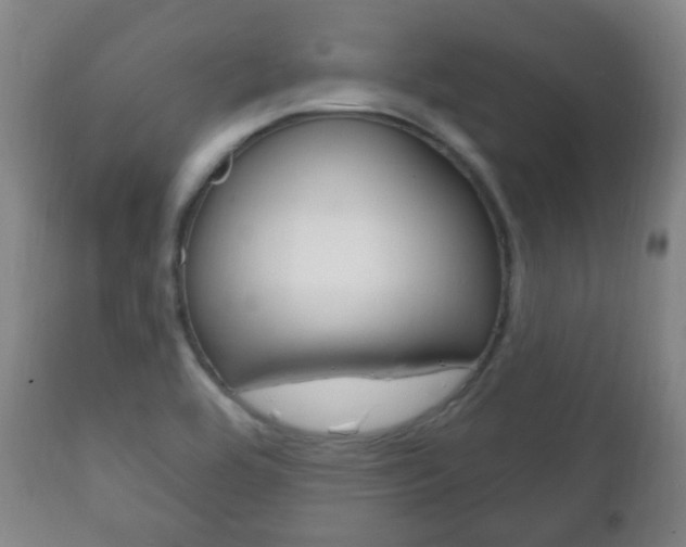 X0000111221464200907020948