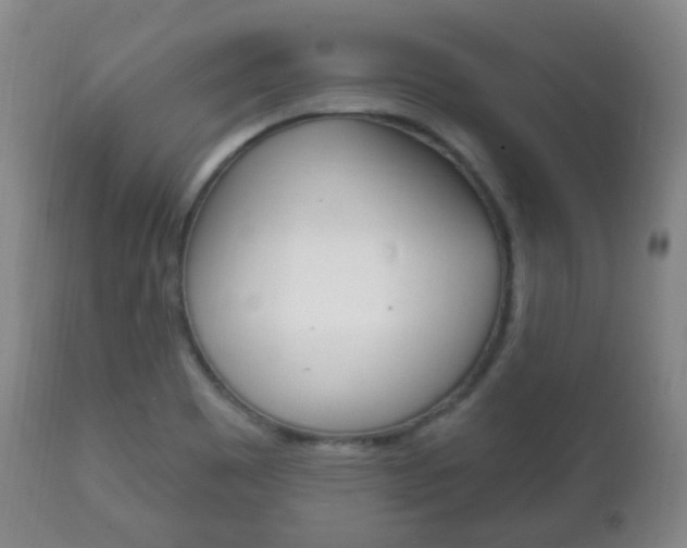 X0000111221465200907020948