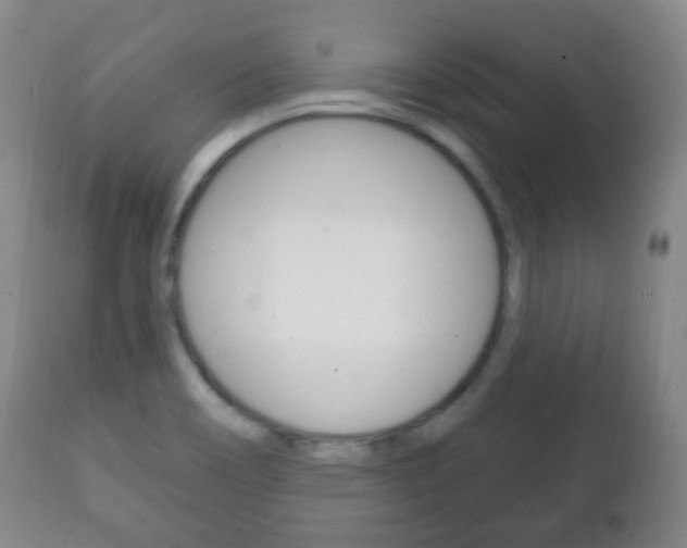 X0000111221466200907020948