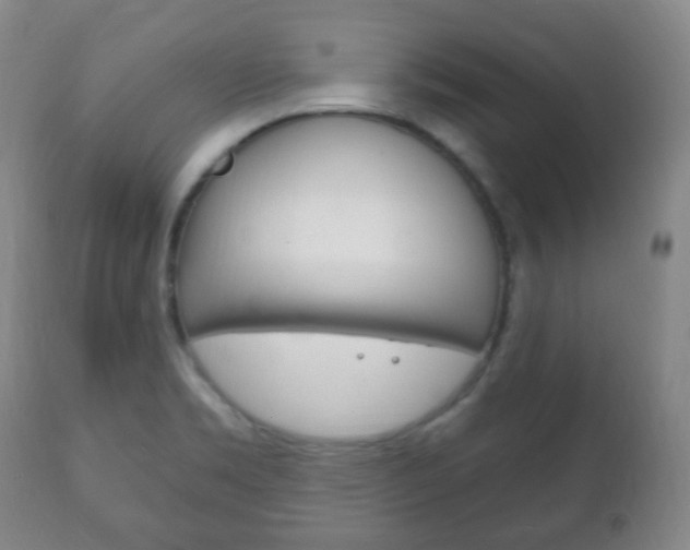 X0000111221469200907020948