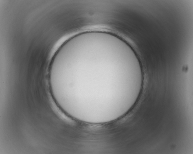 X0000111221470200907020948