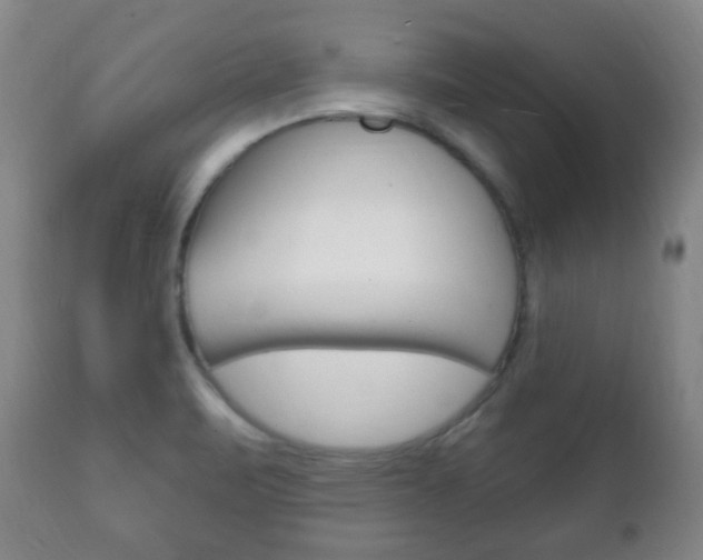 X0000111221471200907020948