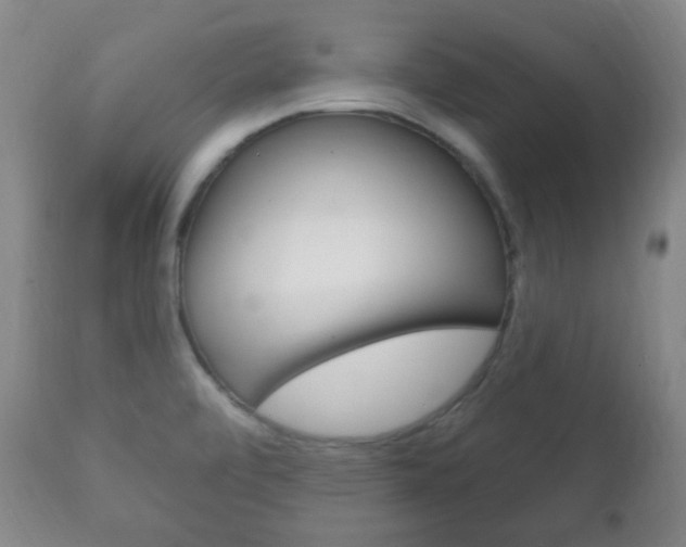 X0000111221472200907020948