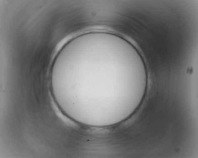 X0000111221474200907020948