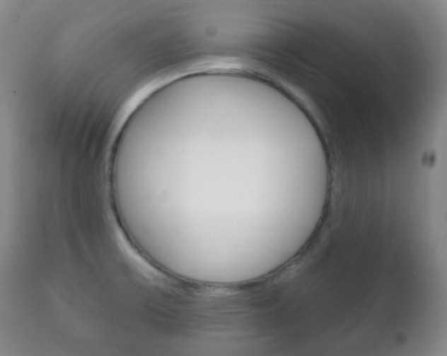 X0000111221475200907020948