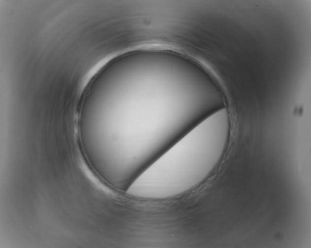 X0000111221476200907020948