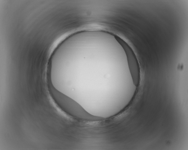X0000111221477200907020948