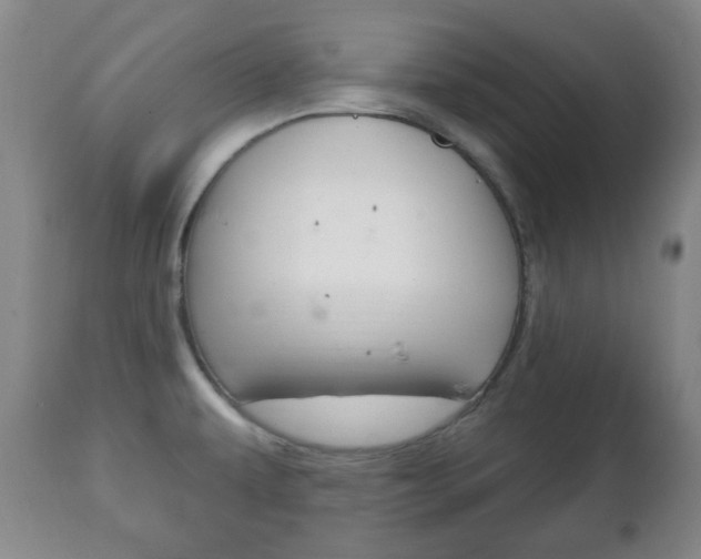 X0000111221479200907020948
