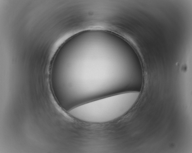 X0000111221480200907020948
