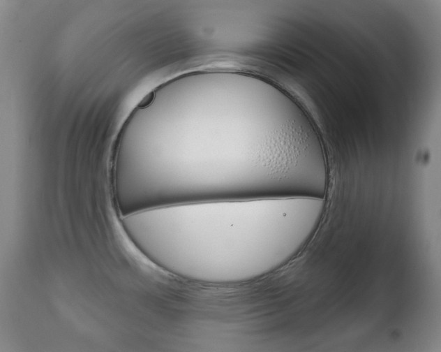 X0000111221483200907020948
