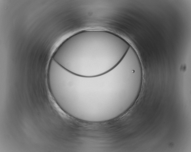 X0000111221485200907020948