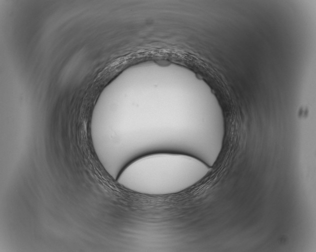 X0000111221489200907020947