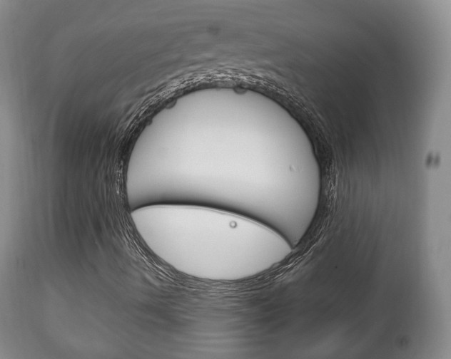 X0000111221490200907020947