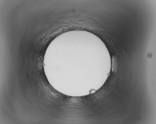 X0000111221491200907020947
