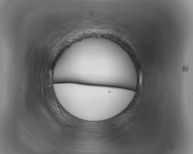 X0000111221492200907020947
