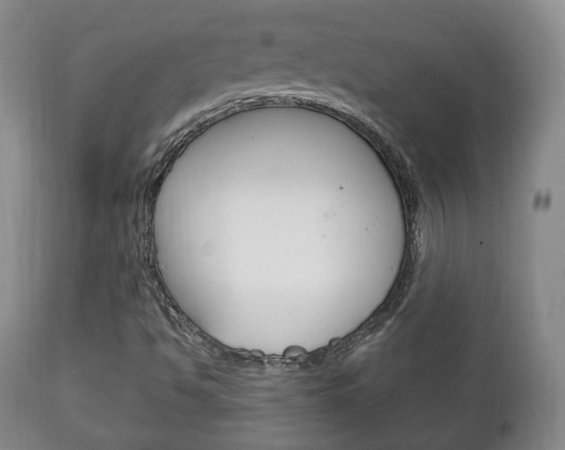 X0000111221494200907020947