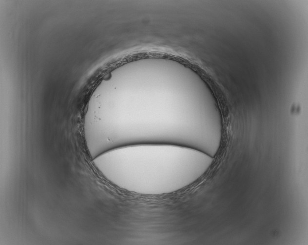 X0000111221495200907020947
