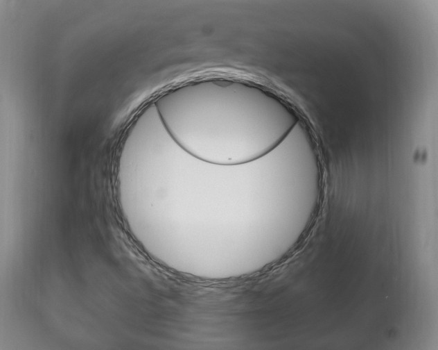 X0000111221496200907020947