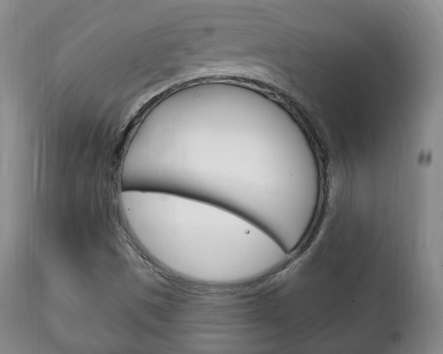 X0000111221497200907020947