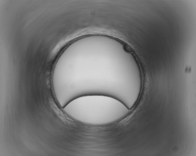 X0000111221499200907020947