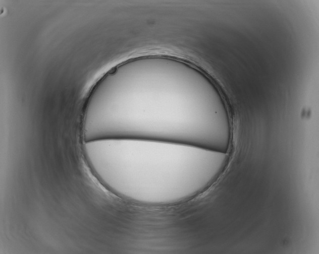 X0000111221500200907020947