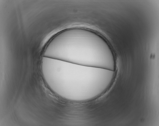 X0000111221501200907020947