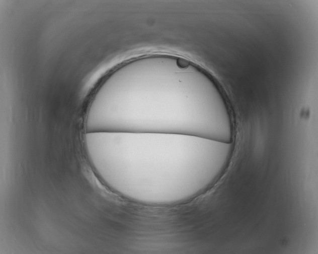 X0000111221503200907020947