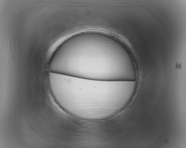 X0000111221504200907020947