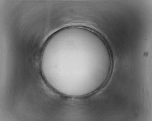 X0000111221505200907020947