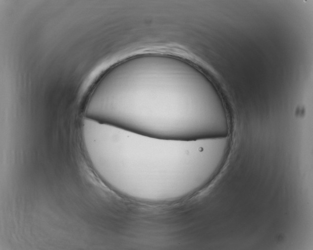 X0000111221506200907020947