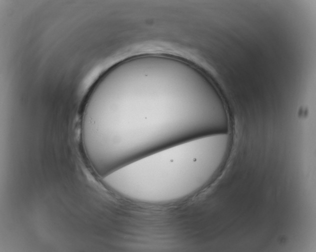 X0000111221509200907020947