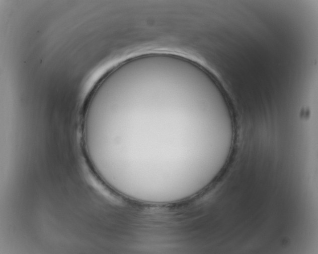 X0000111221511200907020947